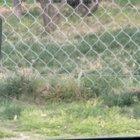 Little to the left. Down.. down... YES! That's the spot×