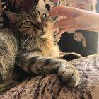 Sound on for that satisfying smack