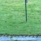 Mum was fed up of the squirrels stealing all the bird food so she greased the feeder!