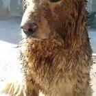 Ver a un sinaloense hablar encabronado es como un boleto de entrada gratis al circo.