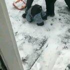 This 14 month-old was helping his dad shovel in Newfoundland after yesterday’s 15-inches of snowfall - when he glitched