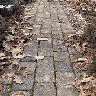 The good boy delivery service