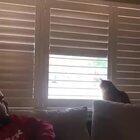 Dude, just because you’re dating her doesn’t mean you make the rules.