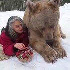 If you ever encounter a grizzly bear, make sure you got strawberries in your pocket.