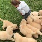 You cannot escape Love. It will find you, bring you down and make itself known beyond any doubt.