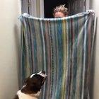 'What the fluff' challenge