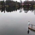 Watch it upside down.