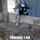 أمك من سرطان الدهون 🥵😊😁🤣😂