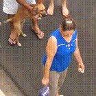 Nothing will stop this dog from protecting his owner