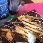 Just wanted some cake