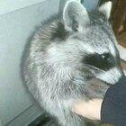 Cold Coonie hands up my sleeve 🥰