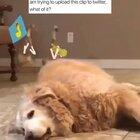 Yup. I’m pretty sure this counts.