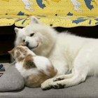 The cutest snuggles you'll ever see!