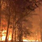 If you're in NSW and there is a fire heading your way just get out... these firestorms aren't fightable PERIOD.