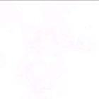 Vegito Card Animation