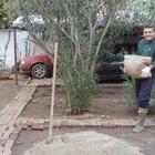 Outdoor Cooking with Burak