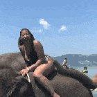 When elephant knows what it wants