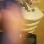 Every apex player when they see fortniters