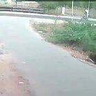 Catch a riiiiiiiide!