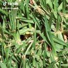 ahhhhhhh this fucking dog made me cry with joy 🥺