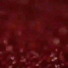 Cats reacting to cat filter