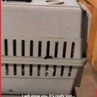 Call the child services!.. Call the..... WHAAAT?