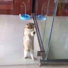 What is this invisible barrier?