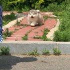 Watch out for the step