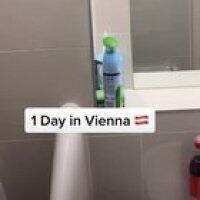1 day in Vienna