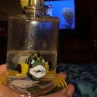 Whoaaaaaaaahhhhhhtttttttttt