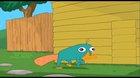 Perry the Platypus received a message