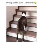 He does it so gracefully