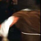 Jesus Christ and Spider-Man fighting with Linking Park music.