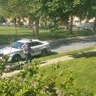 HMB while I do a wheelie in front of the police