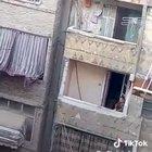 Neighbours going at it