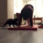 Zoomies during yoga