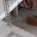 What is this? A functional house for ants?