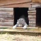 Gonna figure this out.