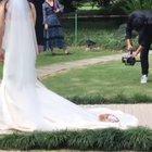 Wandering cat decides to crash a wedding