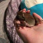 GREG THATS NOT FOOD!!