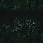 Pour toi Justice †