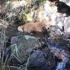 You look so happy ♥️