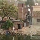 Who is the swine here?