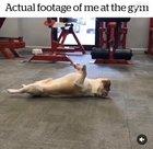 Personal Insult and I love it