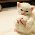 Wake up momma. It's time for Saturday morning cartoons.