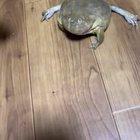 ᵃᵃᵃᵃᵃᵃᵃᵃᵃᵃᵃᵃᵃᵃᵃᵃᵃᵃᵃᵃᵃblughvblugh💦💦