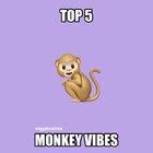 Top 5 Monkey Vibes. (Money Spread)