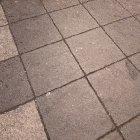 don't disturb the puke eating pigeon