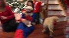 Family surprises Dad with a puppy