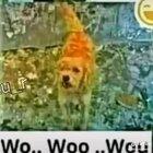 Paraguay no existe 👌🏿